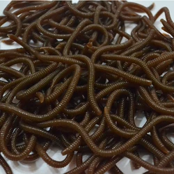 FISH KING 10 unids/lote 8cm cebo suave simulación lombriz mordida larva gusano suave especialmente olor señuelos aparejos artificiales