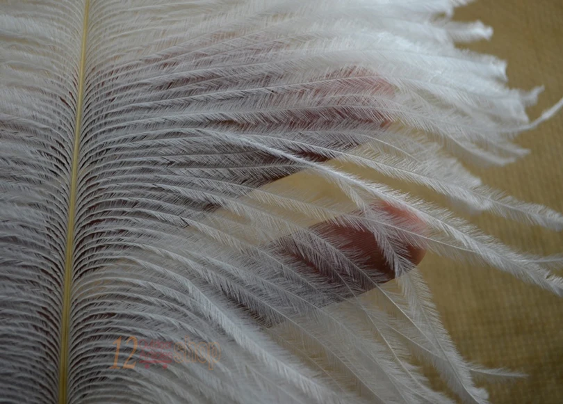 MNFT 4 Uds pluma de avestruz de hierba larga 30-35cm de longitud para atado de moscas intruso Streamer pesca con mosca de agua salada moscas atado materiales - imagen 3