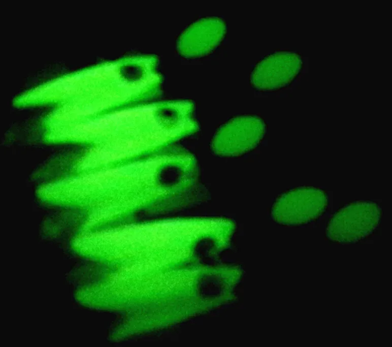 JYJ-señuelo de pesca sabiki, aparejos de pesca de invierno, juego de anzuelos, pluma, 4 paquetes - imagen 2