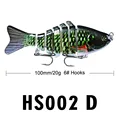 HS002D