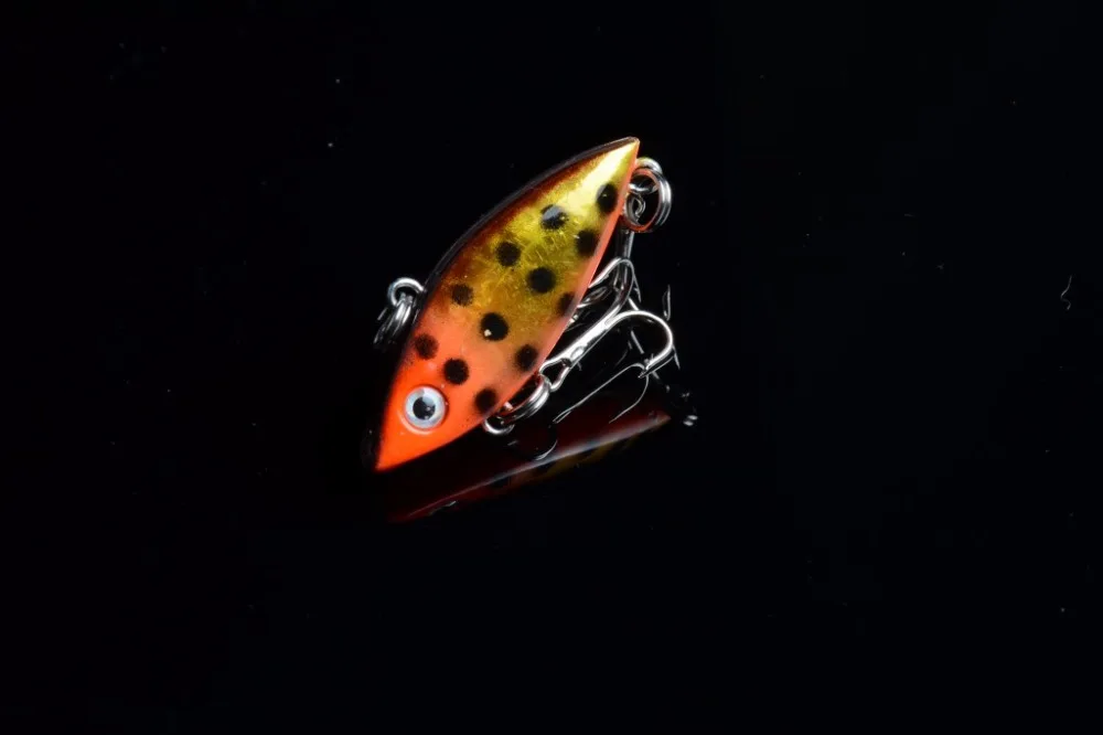 conew_dsc_2218