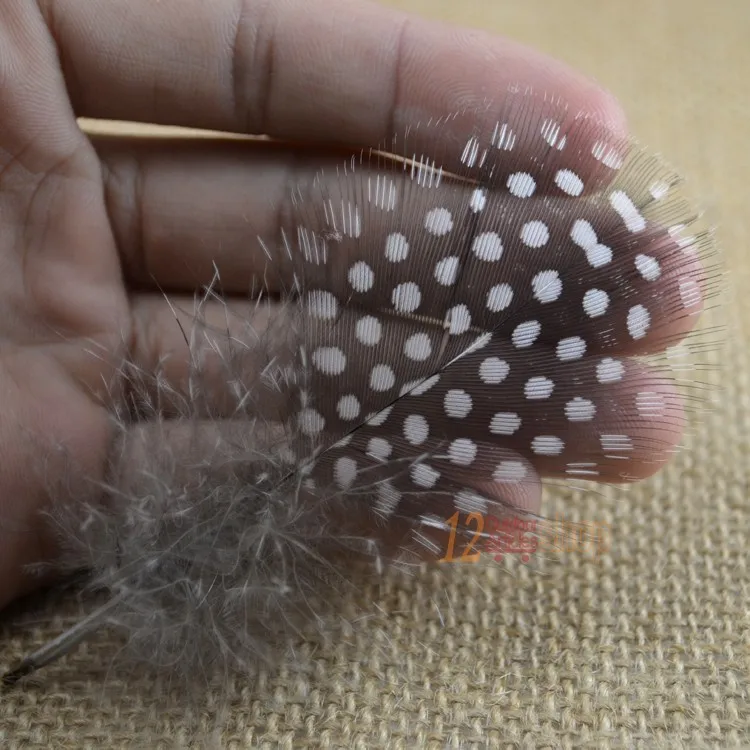 MNFT 100 Uds. Sillines de Color negro Natural pluma con puntos blancos moscas cortas ala hacer pelos materiales para atar moscas - imagen 4