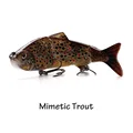 Mimetic Trout