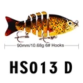 HS013D