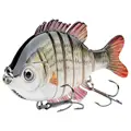 Carp