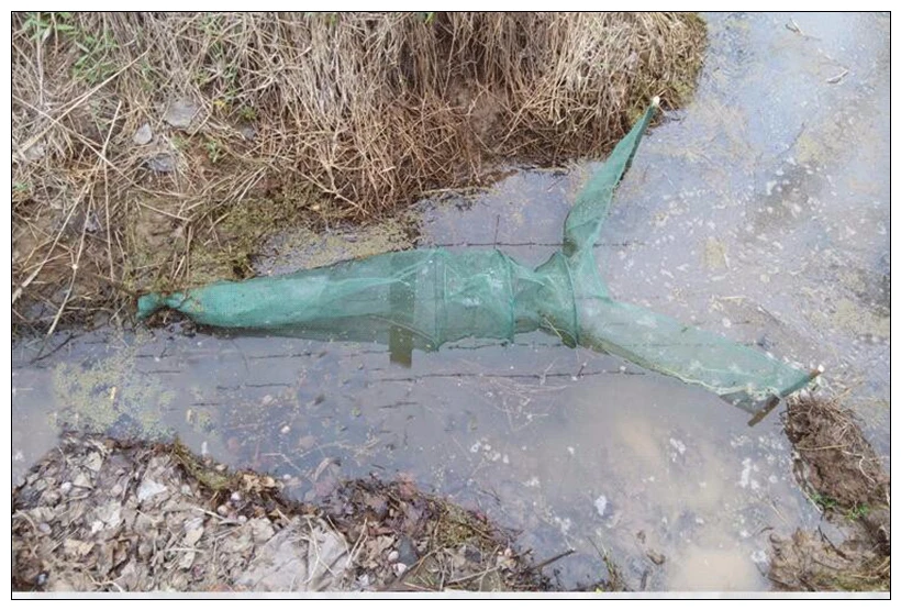 Red de pesca plegable automática, red de enmalle, cangrejo, langosta, camarón, pececillo, cebo de pesca, red de aterrizaje, señuelo trampa - imagen 4