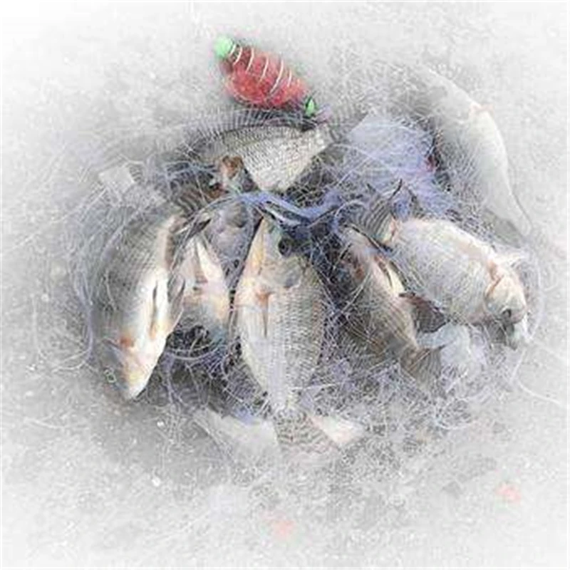 20pcs Fishing Net Trap Mesh Luminous Bead Netting Sea Fish Net Tackle Fishing Tackles Accessories Pesca Wholesale By Bulk - imagen 5