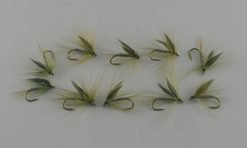 MNFT 10 Uds Color gris alado mosca seca trucha Señuelos de pesca con mosca cebos AZUL UPRIGHT cebo Artificial anzuelos 10 # - imagen 3