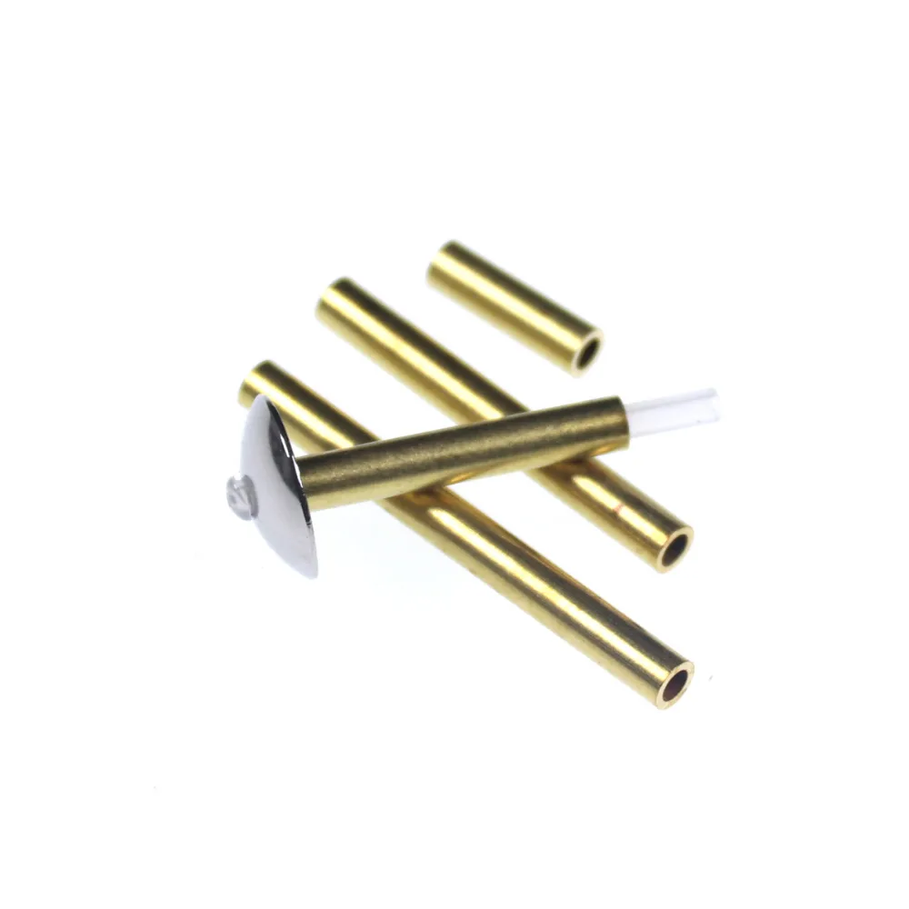 Bimoo-Cono de atado de moscas de tubo, cabeza de disco, tubo de latón ponderado, tubo principal de plástico, Material de atado de moscas de salmón, 10 piezas - imagen 5