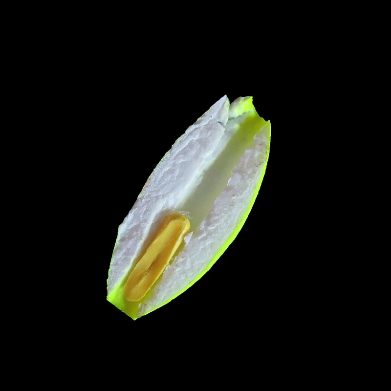 Una rebanada de fruta fresca vibrante con un toque de dulzura natural