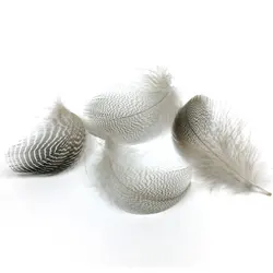 Plumas de pato Natural para alas de mosca, serpentinas de colas, material de atado de moscas, 50 unids/lote por bolsa