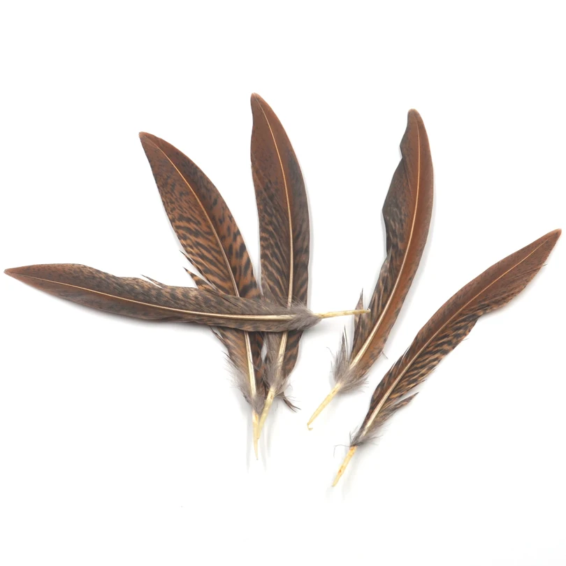 MNFT 5 uds Color marrón Natural negro Pluma atado de moscas Material de cola de ala 10 ~ 15cm de longitud para cebo de insectos artificiales - imagen 2