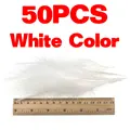 White Color 50pcs