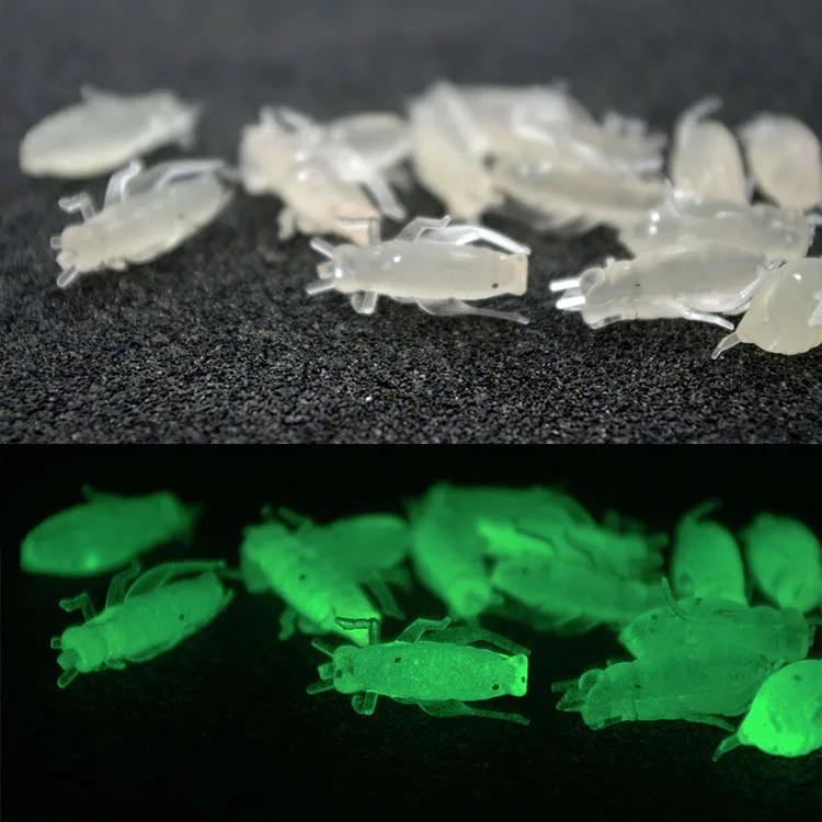 Señuelo de pesca de Stream, cebo blando, estanque de depósito, hierba negra, carpa Chub, cebos artificiales para pececillos, cebos para gusanos e insectos, 10 piezas - imagen 3