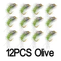 12pcs Olive