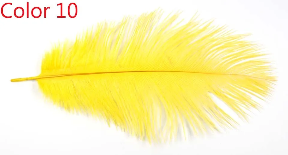 Pluma amarilla brillante con color vibrante perfecto para la decoración