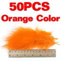 Orange Color 50pcs