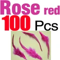 rose red 100pcs