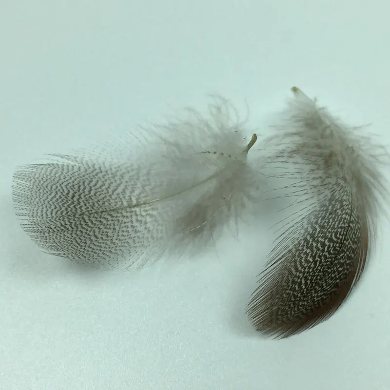 Plumas de pato Natural para alas de mosca, serpentinas de colas, material de atado de moscas, 50 unids/lote por bolsa - imagen 2
