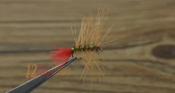 Ninfa Bugger Marrón T12 MNFT para trucha