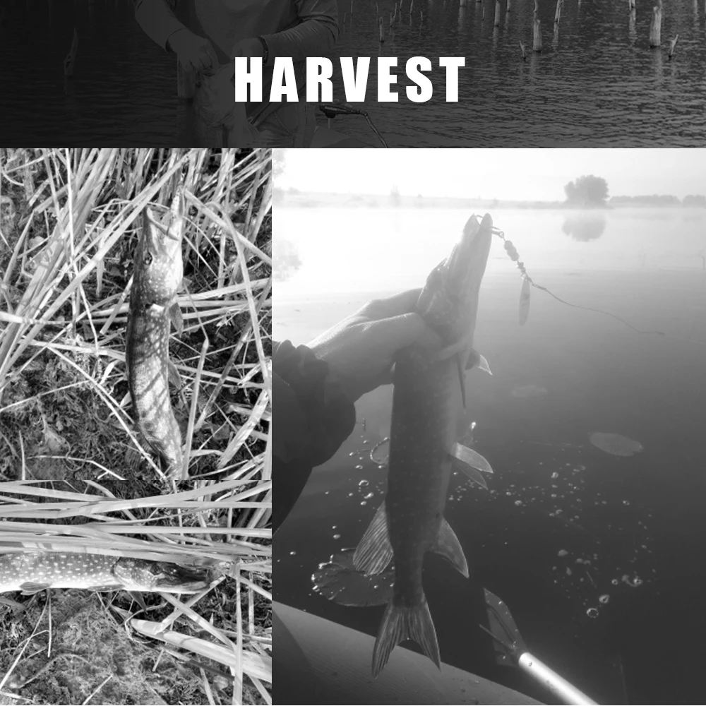 Cuchara Giratoria - Captura exitosa