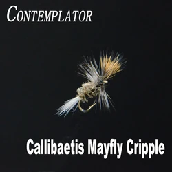 Callibaetis Mayfly Ninfa Artificial Emergente