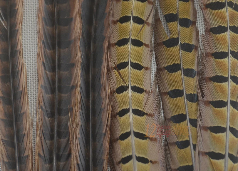 MNFT 10 unids/lote 20-25cm (y compris el tallo) Material de atado de moscas de plumas campesinas para insectos cebo de pesca con mosca - imagen 3