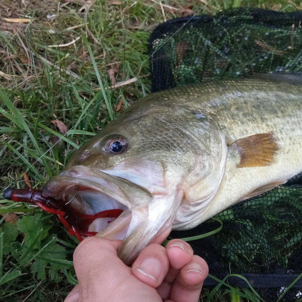 JOHNCOO-señuelo de pesca de 90mm, 5,5g, 8 piezas, Craws, camarones, 2 Pinchers enormes, señuelos suaves para lubina - imagen 2