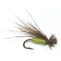 Olive Body 8pcs