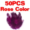 Rose Color 50pcs