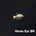 Hares Ear BH