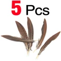 5 PCS