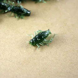 Cebón Cricket – Señuelo artificial de alta atracción para carpa
