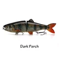 Dark Perch