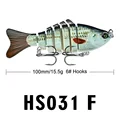 HS031F
