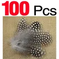 100Pcs