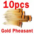 10pcs gold pheasant