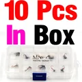 10pcs in box