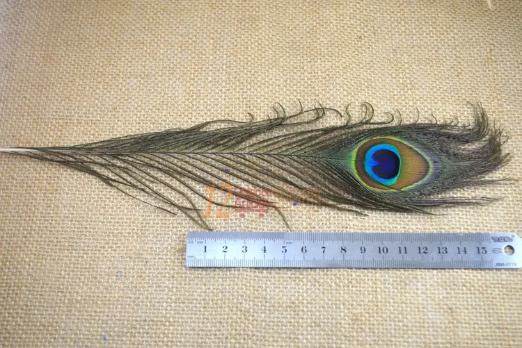 20 piezas de pelo de ojo de cola de pavo real Natural para atado de moscas, Streamer, moscas Slamon, pluma de pavo real de oliva, señuelo de pesca con mosca, Material DIY - imagen 5