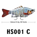 HS001C