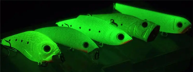 3916525947_823744773_