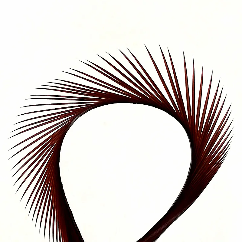 IMG_20181205_141801_