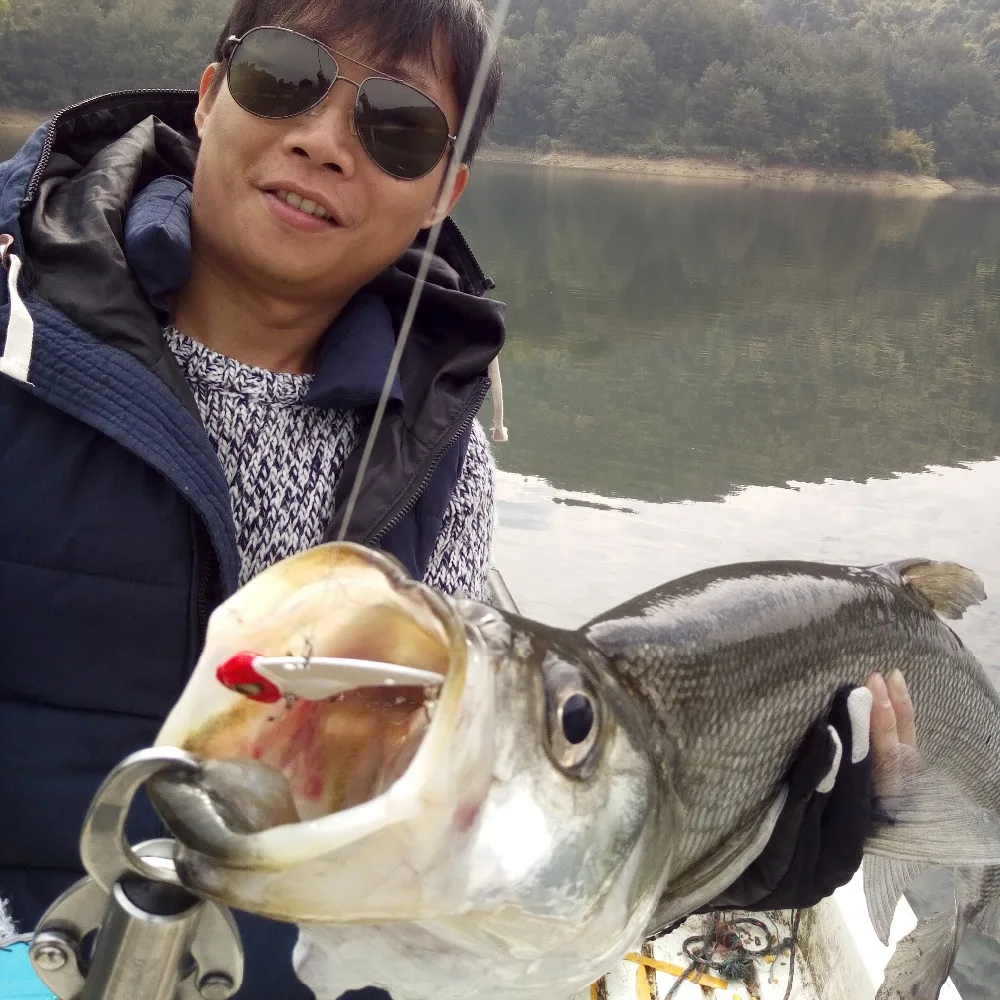 Castfanatic MZ55 17g/13g señuelos VIB de Metal cebo de hoja sin labios con cola giratoria que se hunde Wobblers aparejos de pesca para trucha - imagen 3