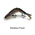 Rainbow Trout
