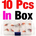 10pcs in box