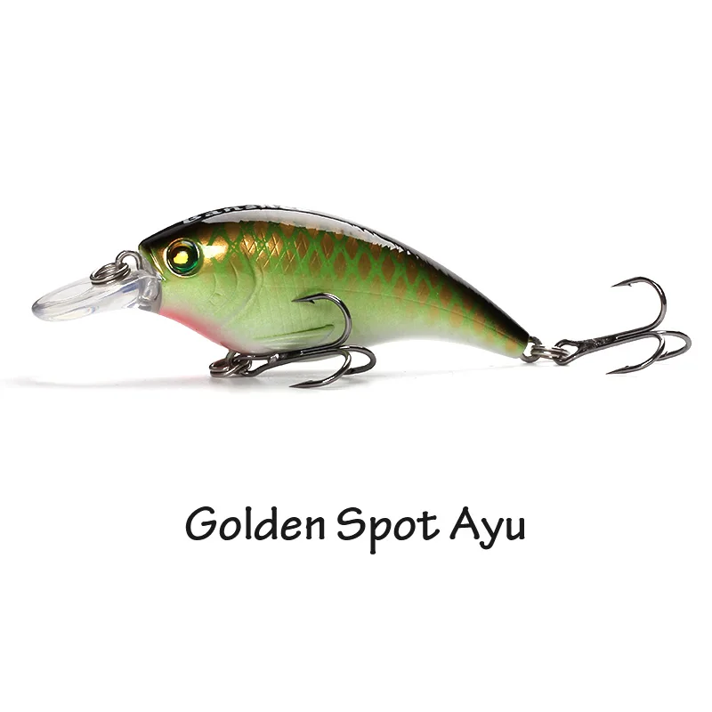 Golden Spot Ayu