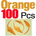 orange 100pcs