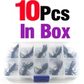 10Pcs In Box