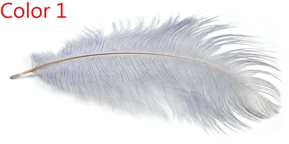 Una delicada pluma blanca que simboliza la elegancia y la gracia