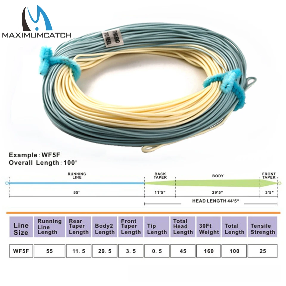 Línea de pesca con mosca Maximumcatch Bonefish, línea de pesca con mosca de Color arena/azul de 100 pies con 2 bucles soldados para agua de listones/fresca - imagen 2